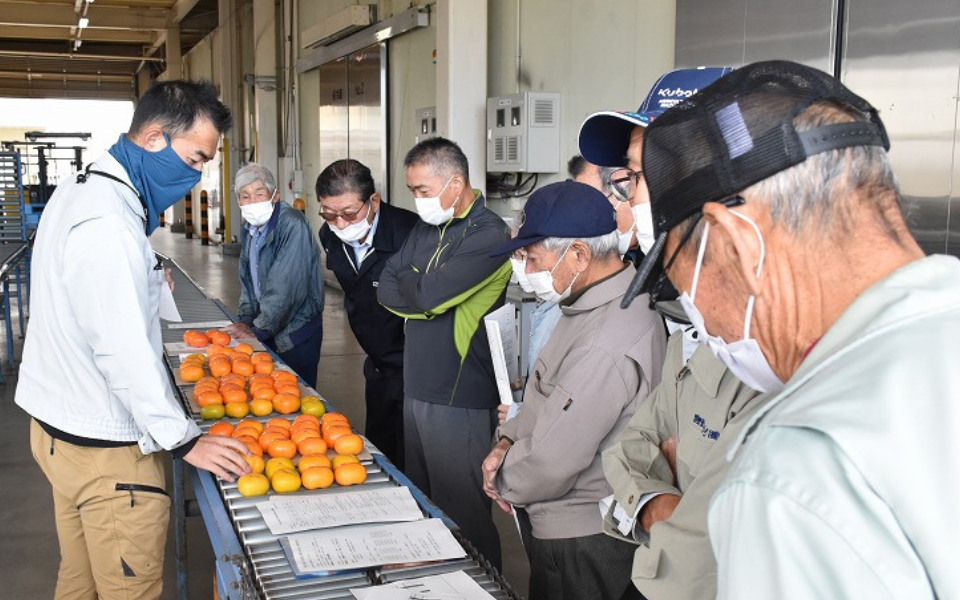 産地一丸。<br>磨き上げた品質を。