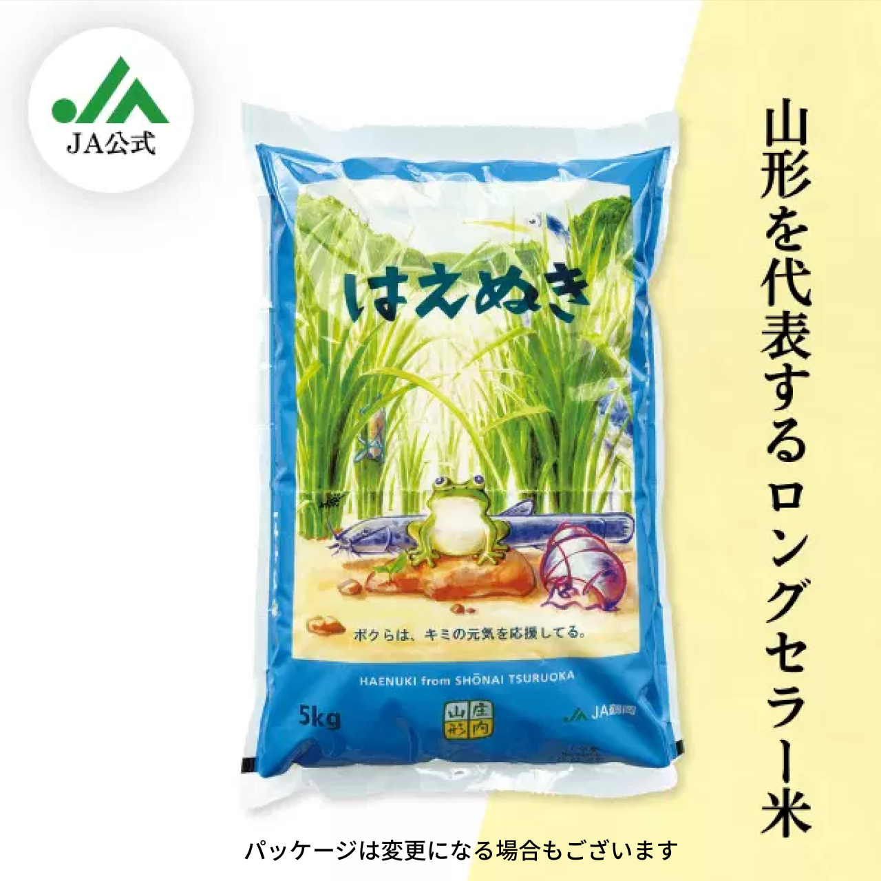 はえぬき（庄内米） | 【JA鶴岡公式】山形名産品のお取り寄せ通販なら