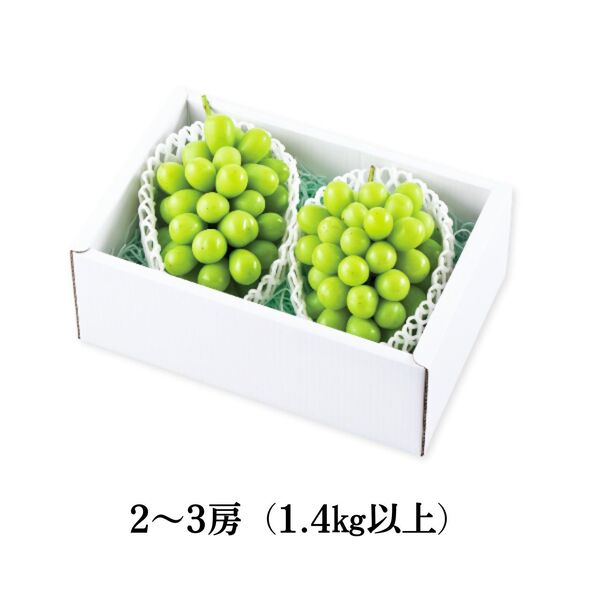 山形鶴岡＞シャインマスカット | 【JA鶴岡公式】山形名産品のお