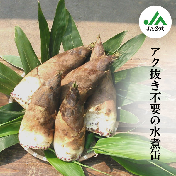 鶴岡名産 孟宗（たけのこ）缶詰 | 【JA鶴岡公式】山形名産品のお