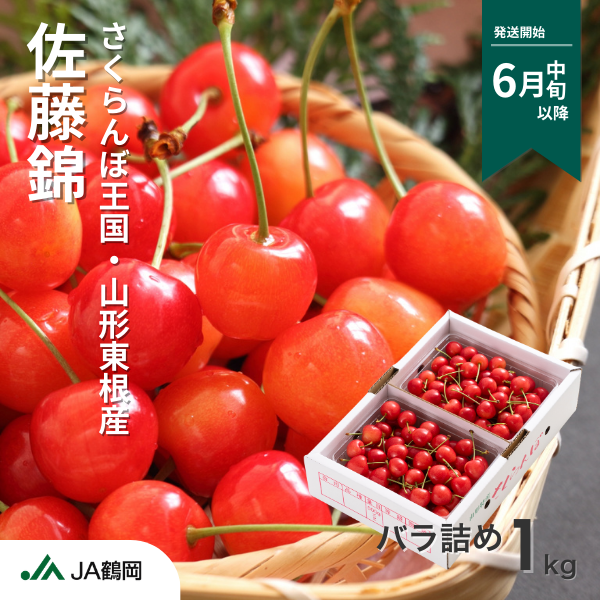 令和8年産 東根産 佐藤錦さくらんぼ 1kgバラ詰め | 【JA鶴岡公式】山形