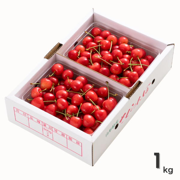 【専用出品】さくら 令和8年産 東根産 佐藤錦さくらんぼ 1kgバラ詰め | 【JA鶴岡公式】山形
