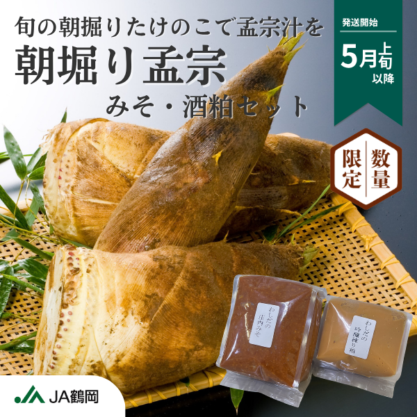 令和8年産 鶴岡特産 朝堀り孟宗（みそ・酒粕付） | 【JA鶴岡公式】山形