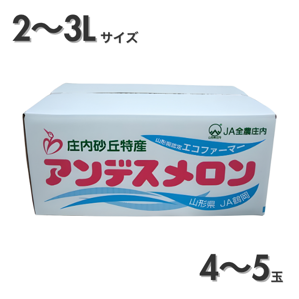 鶴岡アンデスメロン【庄内砂丘メロン】の商品画像 5