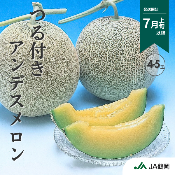 つる付きアンデスメロン【庄内砂丘メロン】 ３L・2玉 