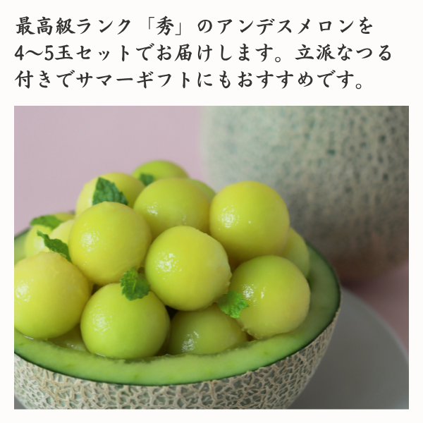 つる付きアンデスメロン【庄内砂丘メロン】の商品画像 2