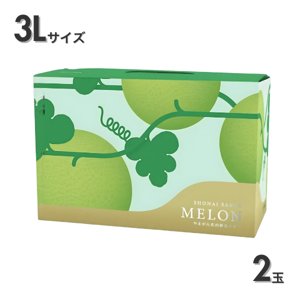 つる付きアンデスメロン【庄内砂丘メロン】の商品画像 5