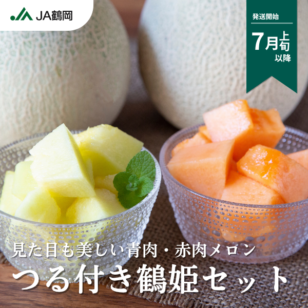 つる付き鶴姫セット【庄内砂丘メロン】 | 【JA鶴岡公式】山形名産品の
