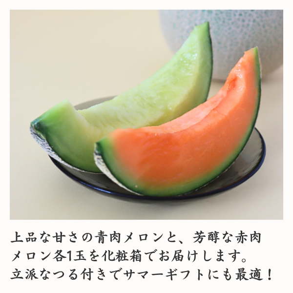 つる付き鶴姫セット【庄内砂丘メロン】の商品画像 2