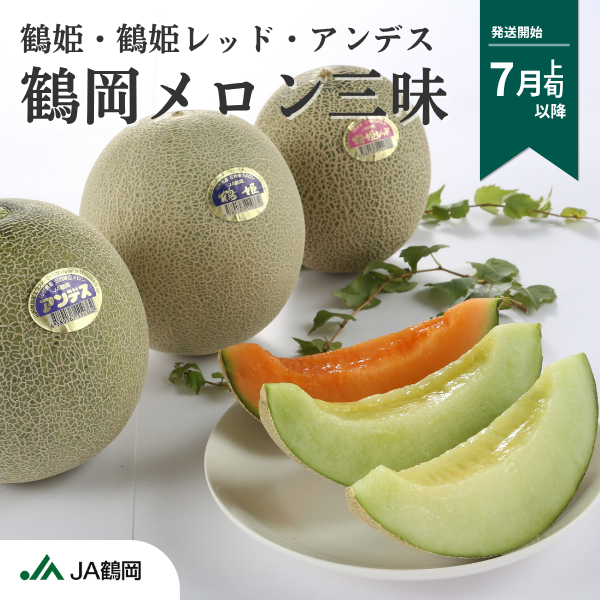 鶴岡メロン三昧【庄内砂丘メロン】 ２L・各1玉