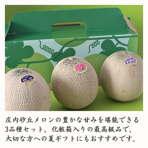 鶴岡メロン三昧【庄内砂丘メロン】の商品画像 2
