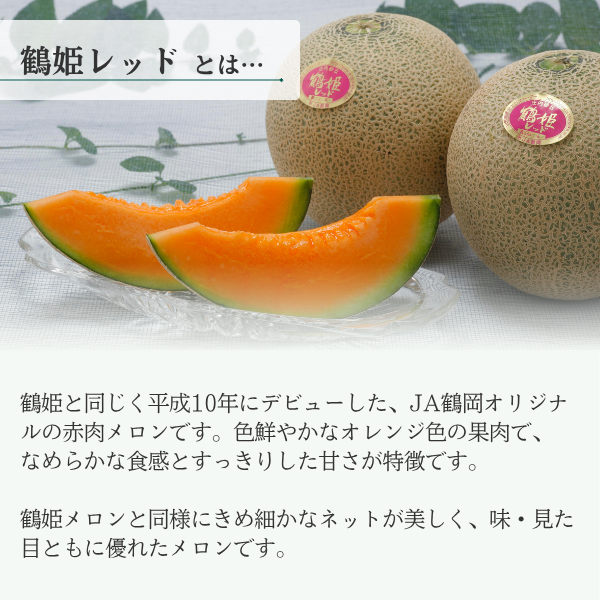 鶴岡メロン三昧【庄内砂丘メロン】の商品画像 4