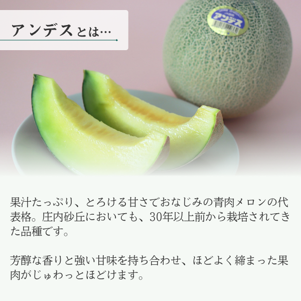 鶴岡メロン三昧【庄内砂丘メロン】の商品画像 5