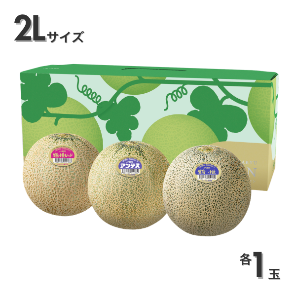 鶴岡メロン三昧【庄内砂丘メロン】の商品画像 7