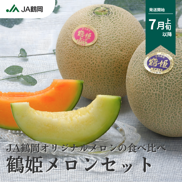 鶴姫メロンセット【庄内砂丘メロン】 ３L・各1玉