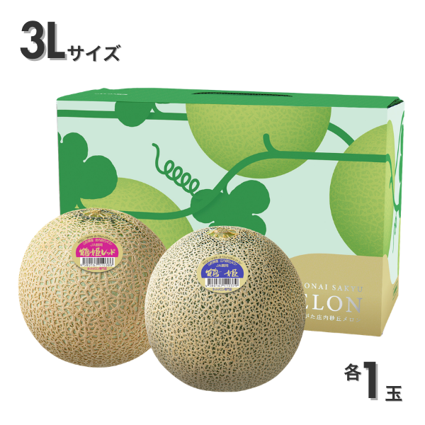 鶴姫メロンセット【庄内砂丘メロン】の商品画像 6
