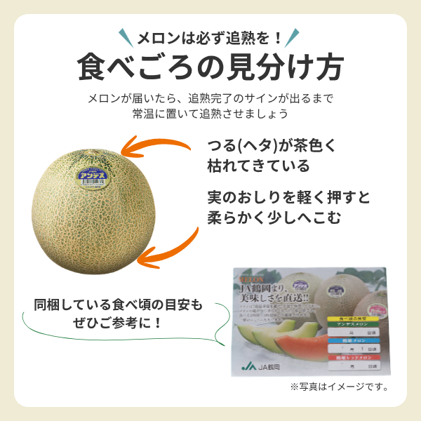 鶴姫メロンセット【庄内砂丘メロン】の商品画像 8