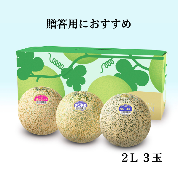 【在庫セール開催中！】地理山水　風水秘録　　西岡玉全 復刻版 地理山水風水秘録 西岡玉全 八幡書店