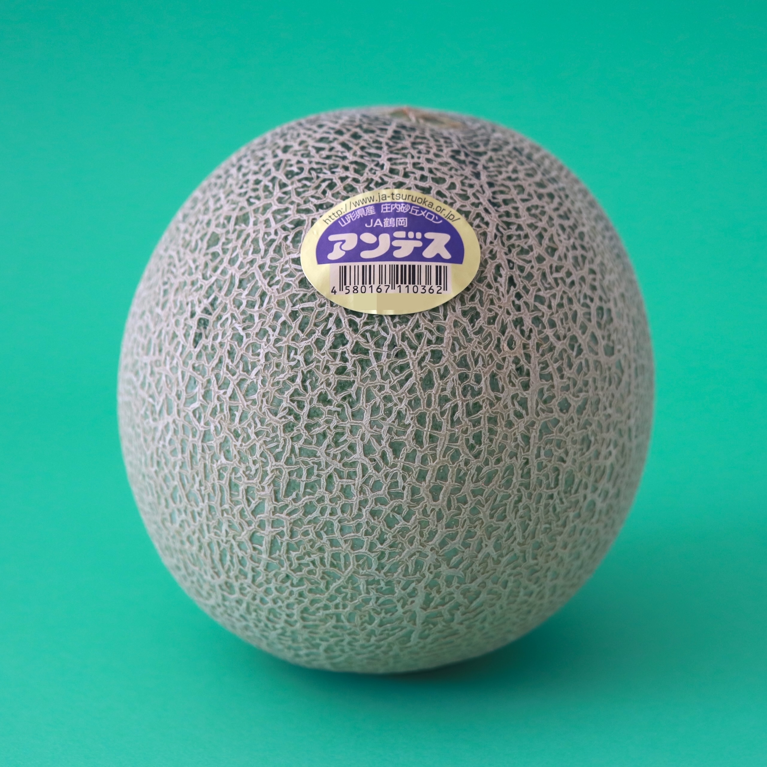 98ふぁーむのアンデスメロン 鶴岡_アンデス_20240709_022.JPG