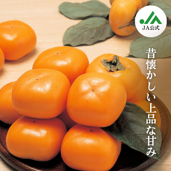 庄内柿 | 【JA鶴岡公式】山形名産品のお取り寄せ通販なら “だだぱら”