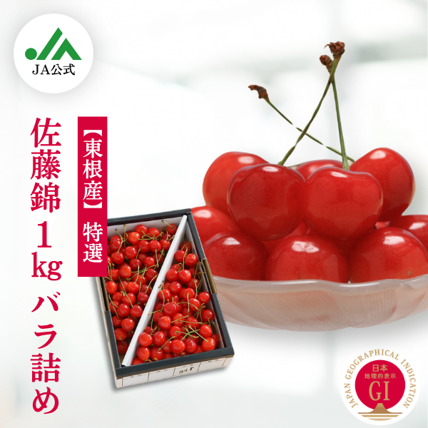東根産さくらんぼ 佐藤錦1kg【特選】バラ詰め | 【山形・JA鶴岡