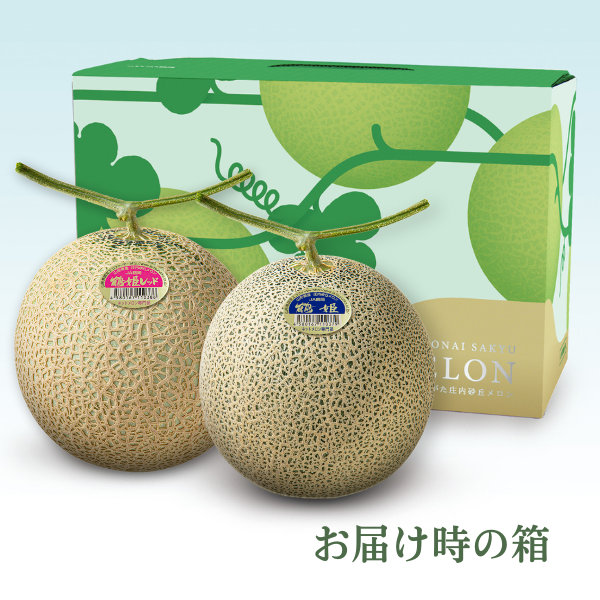 つる付き鶴姫セット【庄内砂丘メロン】 | 【JA鶴岡公式】山形名産品の