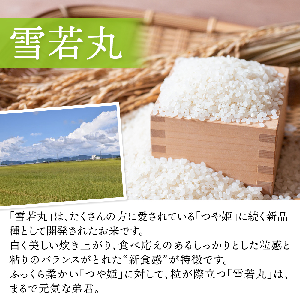 【数量限定残2】送料無料！最安値！特A一等米庄内産雪若丸30kg 楽天市場】雪若丸 玄米 30kgの通販